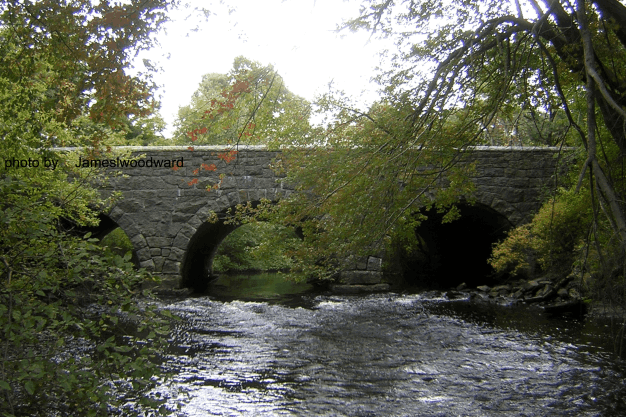 Hyde Park condo offered by Trisha Solio